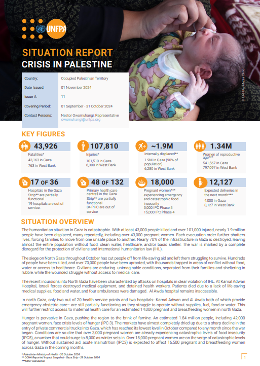 Palestine Situation Report #11 - October 2024