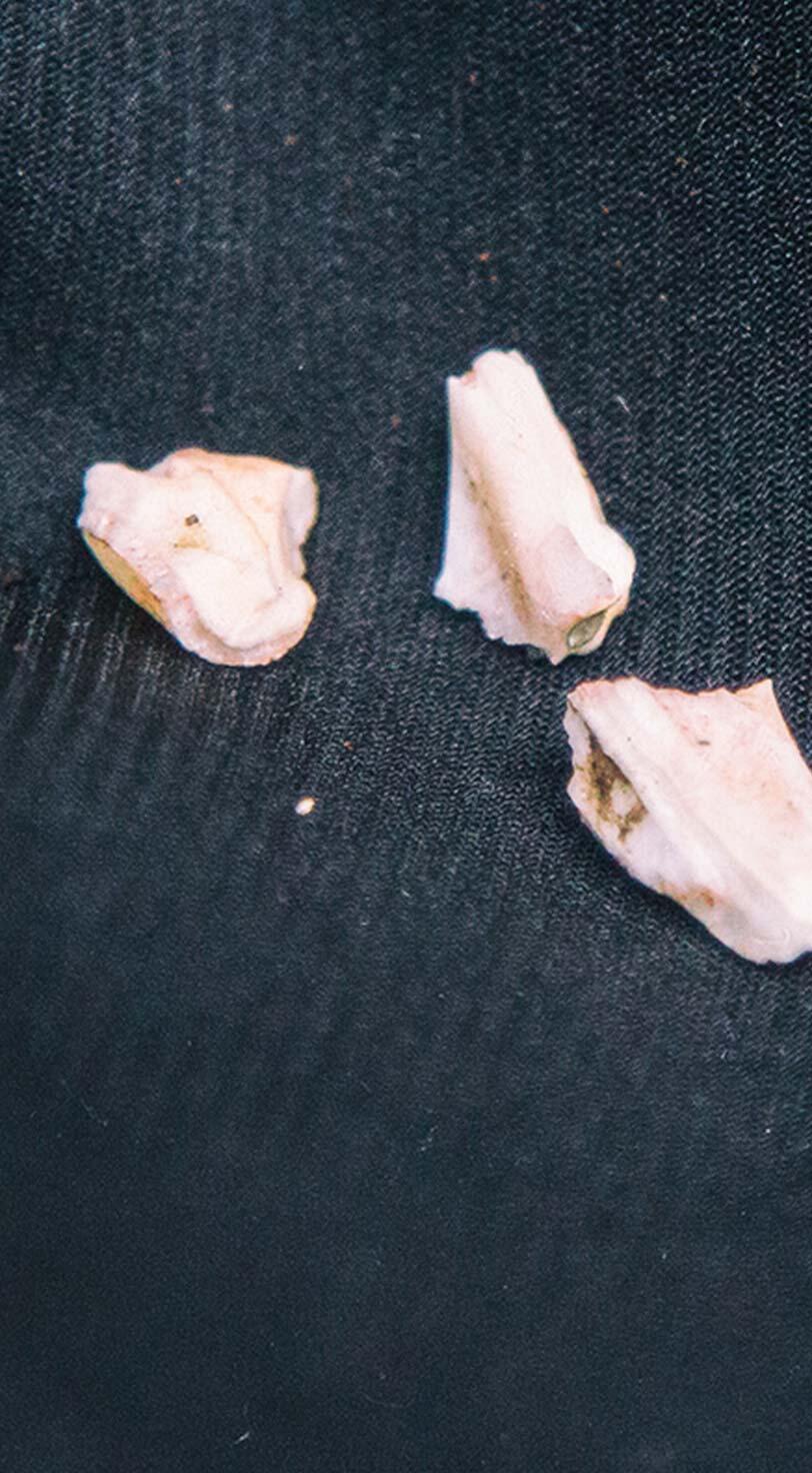 A story of violence, told in 16 objects