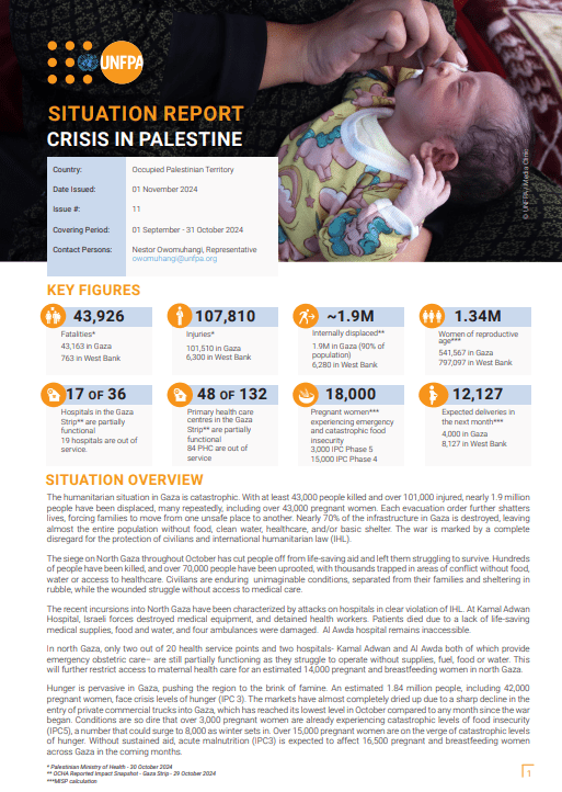 Palestine Situation Report #11 - October 2024