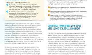 Technical Note on Gender-Transformative Approaches: A summary…